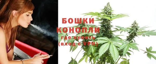 тгк Медвежьегорск